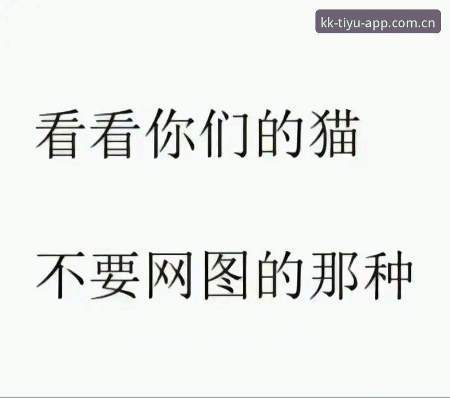 KK体育官方网站手机版安装使用教程：快速获取2025年最新版本